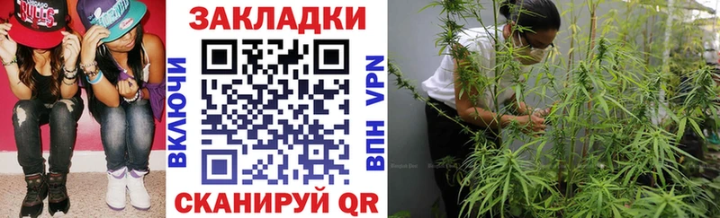 Купить наркотик аптеки Николаевск-на-Амуре Каннабис Галлюциногенные грибы APVP ЭКСТАЗИ Меф COCAIN АМФ