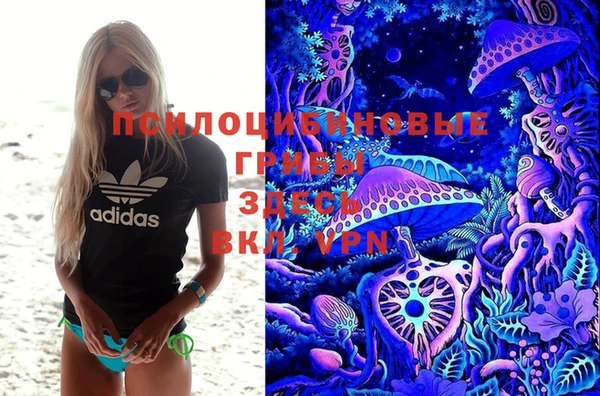 spice Балабаново