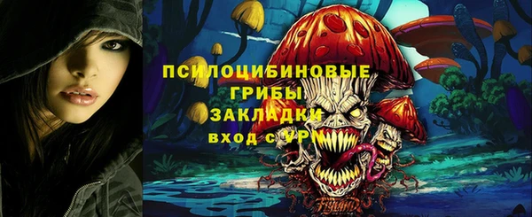 прущая мука Протвино