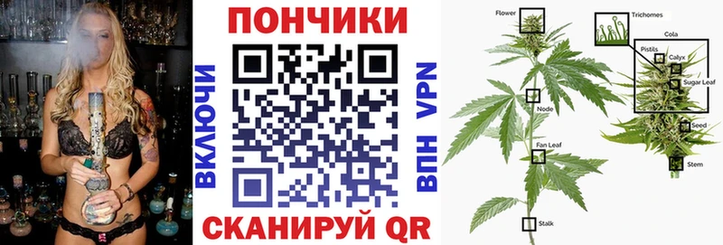 Бошки Шишки THC 21%  Николаевск-на-Амуре 